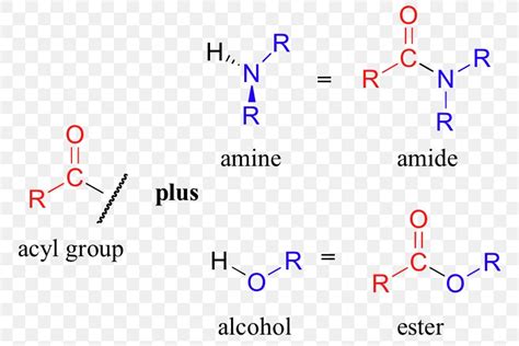 amine amide acyl group functional group chemistry png xpx amine acetyl group acid