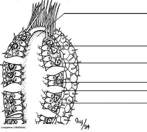 apologia biology module  applies place