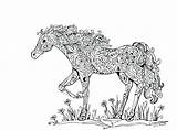 Pages Coloring Herd Horse Getcolorings sketch template