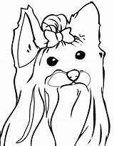 Coloring Dog Pages Jojo Siwa Colouring Yorkie Face Printable Print Puppy Dogs Terrier Kids Drawing Outline Tzu Shih Cairn Desenhos sketch template