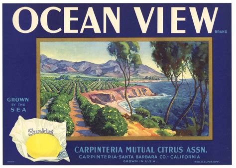 ocean view brand vintage santa barbara lemon crate label thelabelman