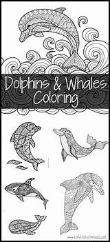 Coloring Pages Dolphins Whales Dolphin Whale Colouring Adult Ocean Mermaid Color Bloglovin Themes Theme Adults sketch template