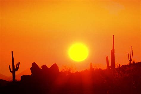 desert sun photograph  robert wiley