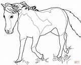 Coloring Pages Foals Horses Miniature Horse Getcolorings Foal sketch template