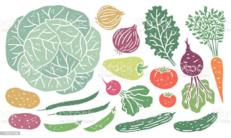 Set Sayuran Dan Buahbuahan Lokal Dengan Tekstur Kasar Ilustrasi Stok