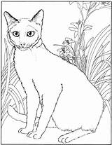 Cat Coloring Siamese Pages Kids Cats Animals Adults Drawing Print Adult Animal Book Simple Printable Fun Getdrawings Part sketch template