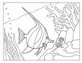 Coloring Fish Angel Pages Animals Ocean Library Sea Codes Insertion Popular Comments sketch template