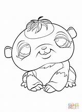 Pet Panda Shop Littlest Coloring Color Pages Supercoloring Online sketch template