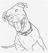 Pitbull Coloring Drawing Pages Baby Cute Puppies Book Dog Staffy Printable Puppy Dogs Clipart Pit Bull Clip Print Coloringhome Bully sketch template