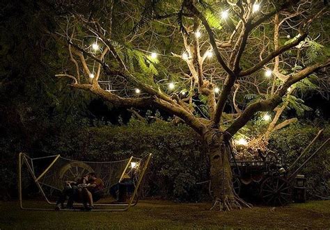 Outdoor Tree Lights Outdoor Lighting Pinterest Trees