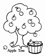 Apples Orchard Trees Preschool Coloringpagesfortoddlers sketch template