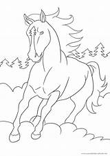 Ausmalbilder Pferde Malvorlagen Bibi Pferd Wendy Ostwind Ausmalen Drucken Lassie Pferden Erwachsene Kostenlose Malvorlage Horse Sammlung Kinder Affefreund Besten Zeichenvorlagen sketch template