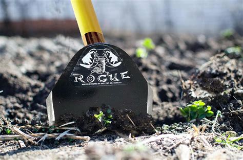 Rogue Field Hoe Review