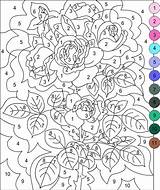 Number Color Coloring Pages Nicole sketch template