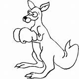 Kangaroo Boxing Coloring Kids Cliparts Pages Clipart Cute Favorites Add Library sketch template