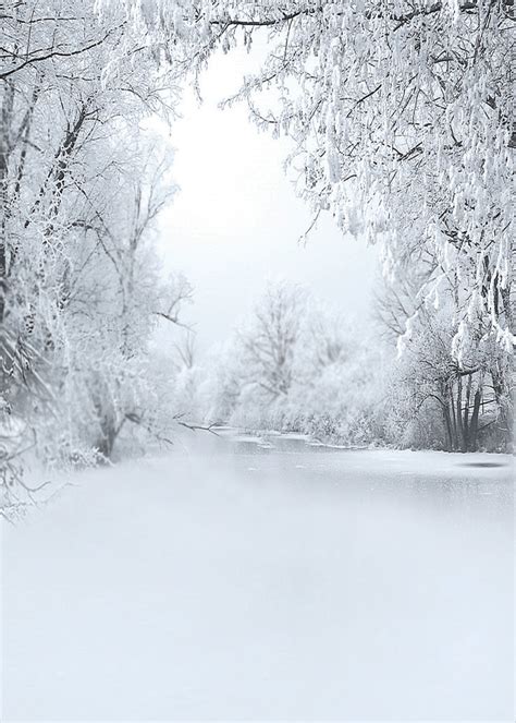 popular snow backgrounds buy cheap snow backgrounds lots  china snow backgrounds suppliers