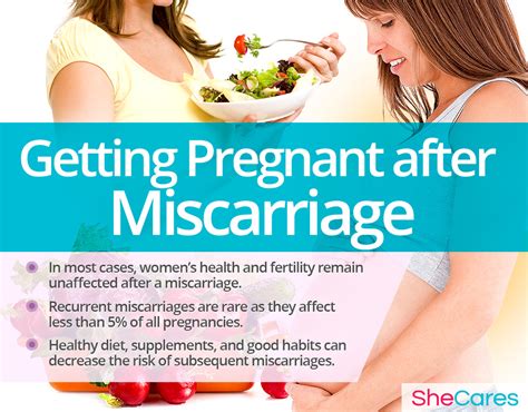 Getting Pregnant After Miscarriage Shecares