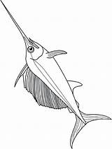 Coloring Swordfish Getdrawings Sailfish sketch template