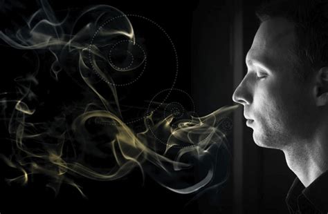 The Sense Of Smell In Humans Is More Powerful Than We Think Discover