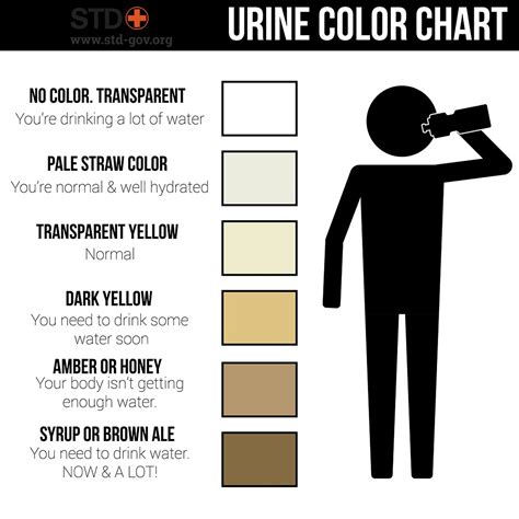 Dark Urine Causes What Does It Mean What To Do Faqs
