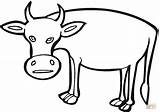 Cow Coloring Pages Funny Outline Printable Template Cliparts Clipart Vaca Dibujo Color Caricatura Cartoon Own Book Make Super Supercoloring Clipartbest sketch template