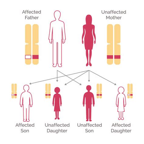 Genetic Testing For Breast Cancer National Breast Cancer Foundation