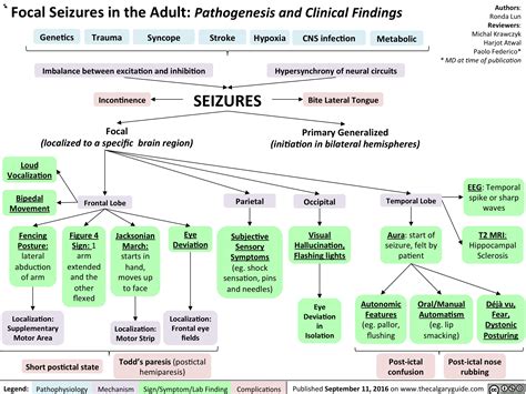 focal seizures   adult pathogenesis  clinical findings
