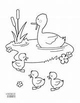 Quiet Coloring Getdrawings Duck Pond sketch template