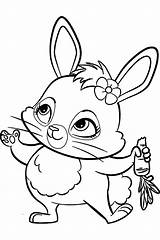 Enchantimals Bunny Imprimer Animaux Xcolorings sketch template