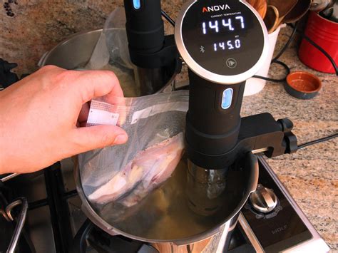 sous vide cooking    started