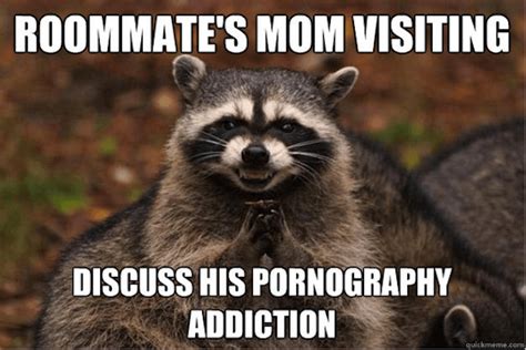 18 evil plotting raccoon memes that will make you nervously laugh just