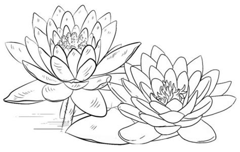 printable lotus flower coloring pages miriamilshelton