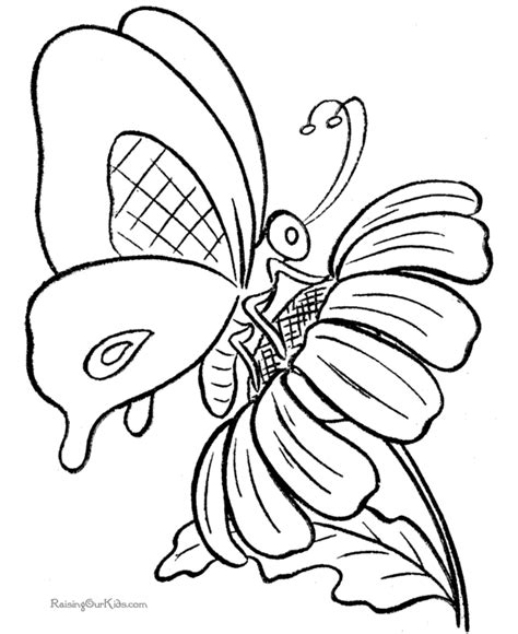 butterfly coloring page