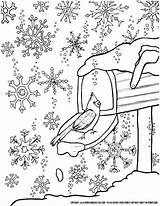 Coloring January Winter Pages Printable Sports Crayola Detailed Adult Clothes Getcolorings Color Printables Clothing Kindergarten Snowflakes Pag Print Wonderland Snowflake sketch template