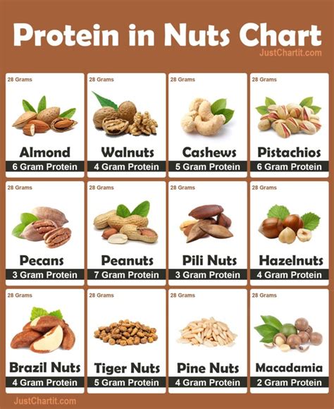 protein  nuts dry fruits chart