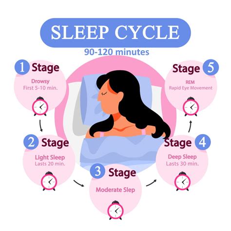 sleep cycles and deep sleep