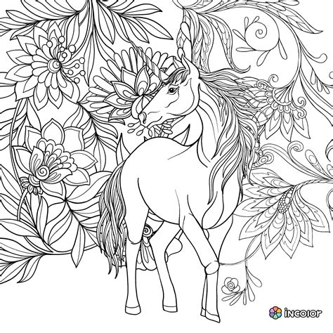 pin  barbara brantley  coloring horse zebra unicorn coloring