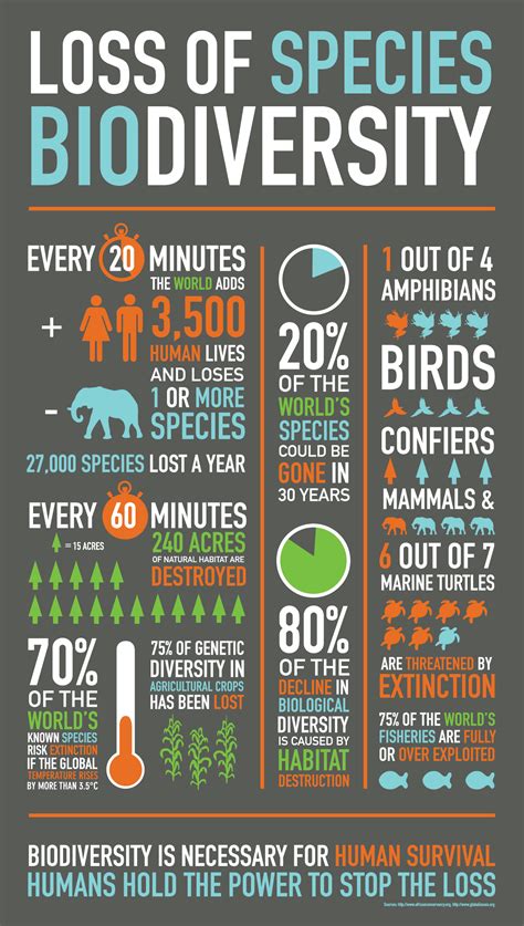 loss  biodiversity infographic  behance