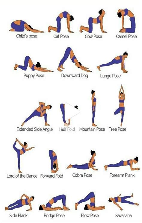 yoga poses  balance  strength  elders yoga balance poses