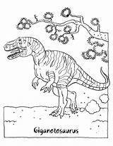 Giganotosaurus Dinosaur Colorare Disegni Gigantosaurus Dinosaurus Dinosaurios Dinosauri Bambini sketch template