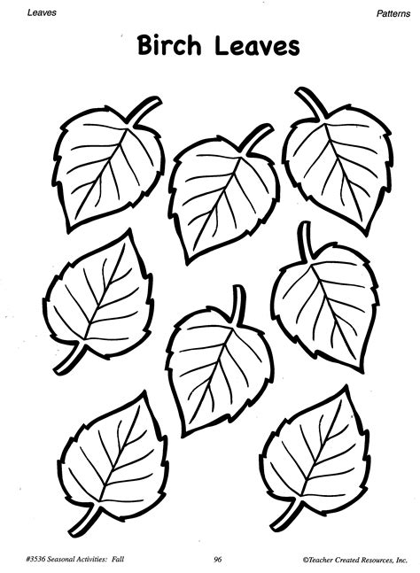 coloring pages  birch leaf