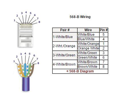 link rj keystone jack wiring diagram wiring diagram pictures