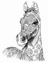 Coloring Horse Adult Pages Book Colouring Animal Drawings Online sketch template