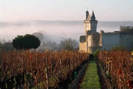 dreamy countryside  chateau loire valley wine  loire