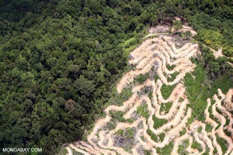 nasa satellites register deforestation hotspots in
