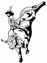 Bull Riding Coloring Pages Rodeo Clipart Rider Clip Drawings Bullriding Toros Drawing Para Dibujos Toro Clipartbest Imágenes Bucking Getdrawings Cowboys sketch template