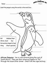 Penguin Penguins Popper Antarctica sketch template
