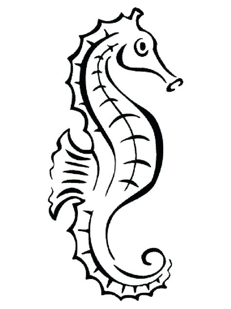 seahorse  drawing    clipartmag