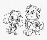 Paw Patrol Skye Ausmalbild Malvorlage sketch template