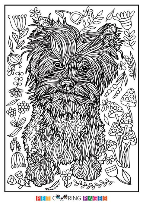 printable yorkshire terrier coloring page